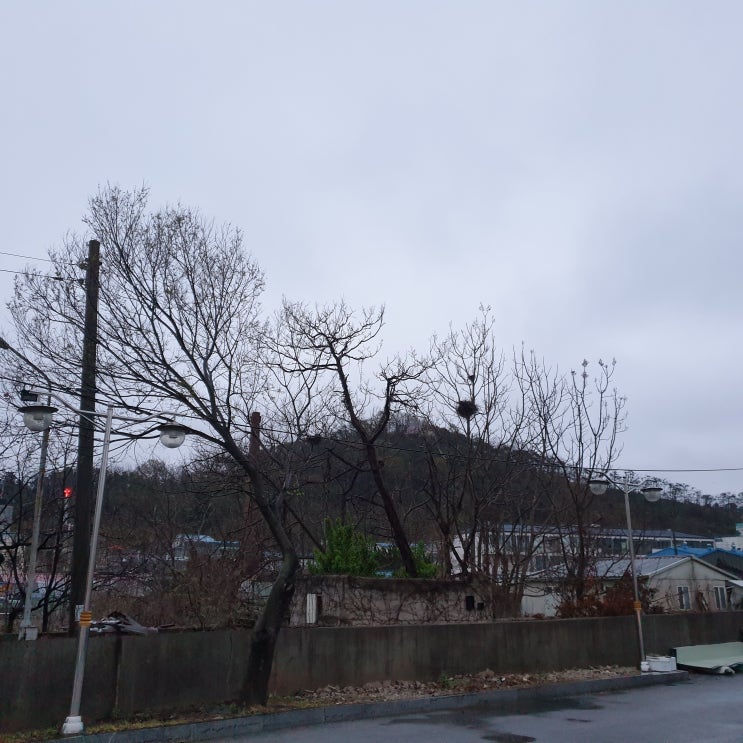  목 가래 자주 끼는 이유와 치료