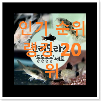 매력뿜는 반수생거북이여과기 구매 신뢰가 가네요 매력뿜는 반수생거북이여과기 구매 신뢰가 가네요