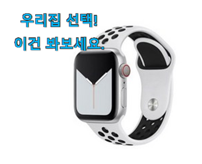  꼼꼼히 비교해보고 찾은 안사면 손해 apple 애플워치 se 나이키 목록 입니당 이번 기회에 장만하시길