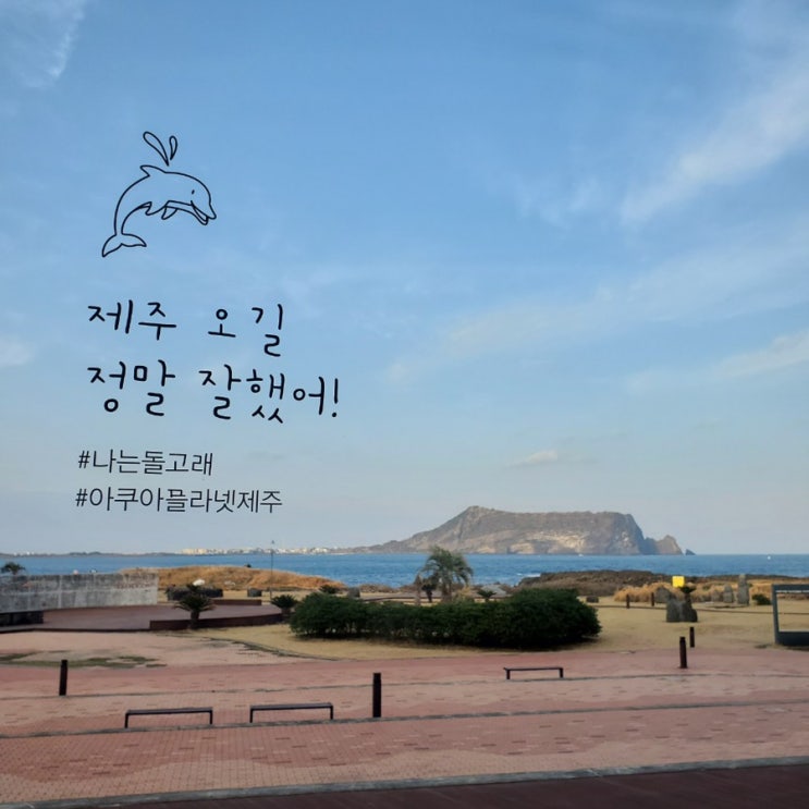  제주도 신혼여행 한달살기 섭지코지 여행지 추천 장소 : 제주 아쿠아플라넷 (위치, 가격)