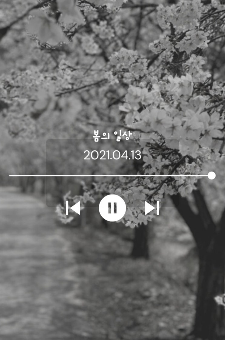  나른나른한 봄 일상