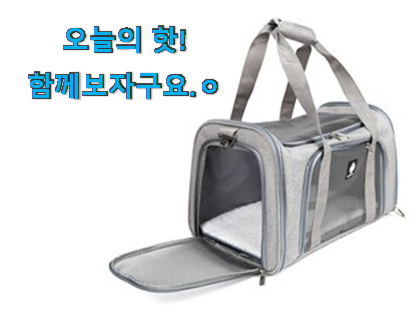 지나칠 수 없는 추천이네요. 꼭 사고싶은 강아지 가방 꿀템상품 개봉박두@ 선물하기에도 좋은듯 해요 지나칠 수 없는 추천이네요. 꼭 사고싶은 강아지 가방 꿀템상품 개봉박두@ 선물하기에도 좋은듯 해요