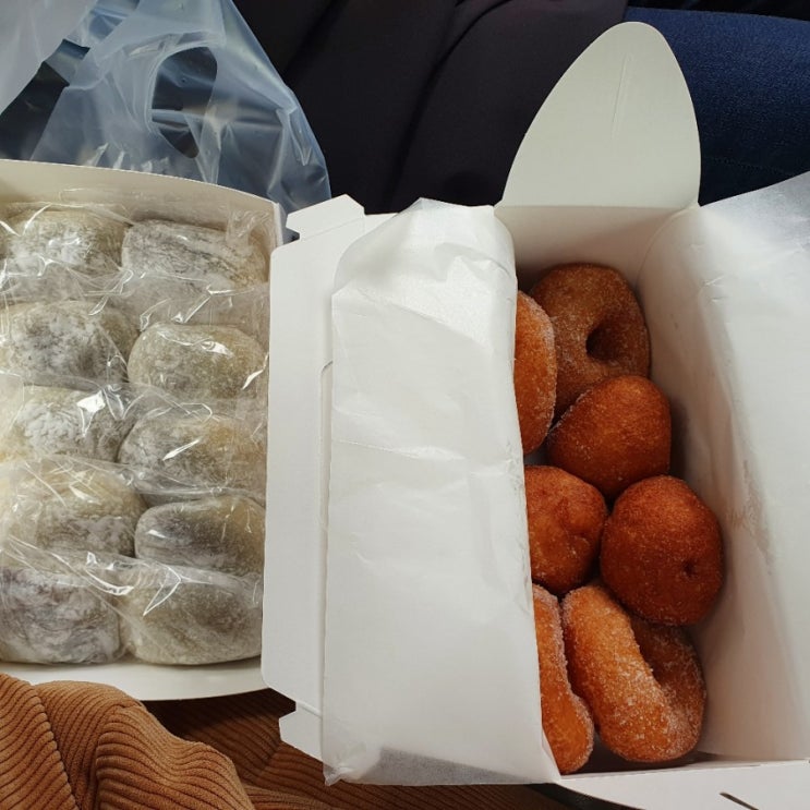  제천 덩실분식 찹쌀떡 도넛 맛집