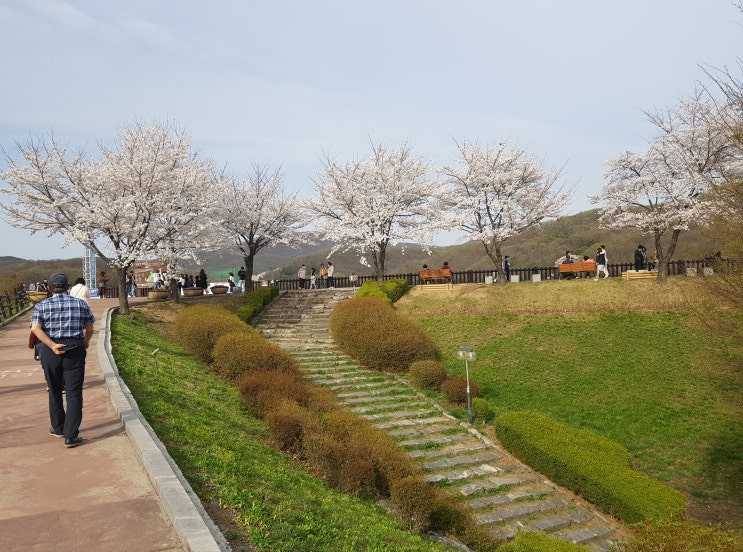 [성남 여행] 화창한 봄날 방문해 본 분당 율동공원~ 멋진 호수가 인상적!