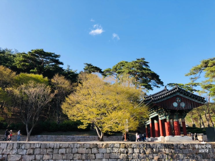 양산 여행 / 부산 근교 드라이브하기 좋은 통도사