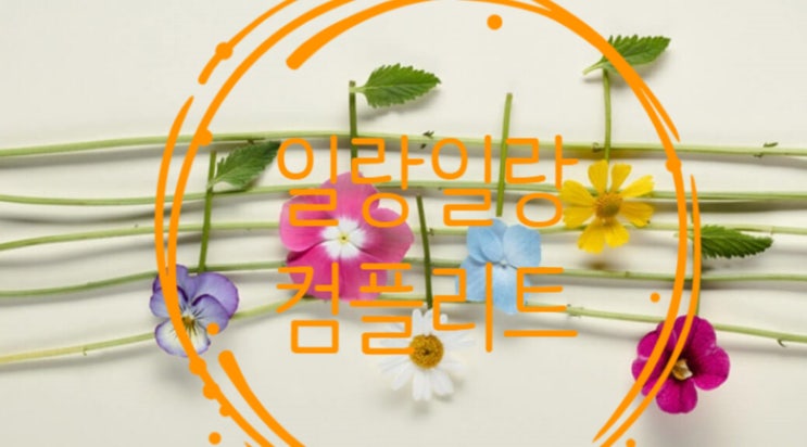  일랑일랑 에센셜오일 사용하기!