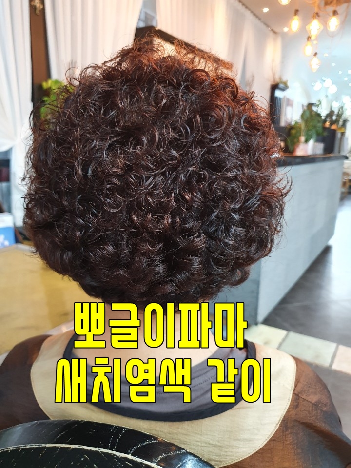  50대 60대 여성 헤어스타일 뽀글이파마 최고!