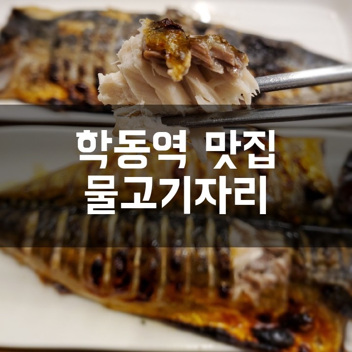 [학동역 맛집] 두툼한 생선구이가 생각날땐 물고기자리 강남점