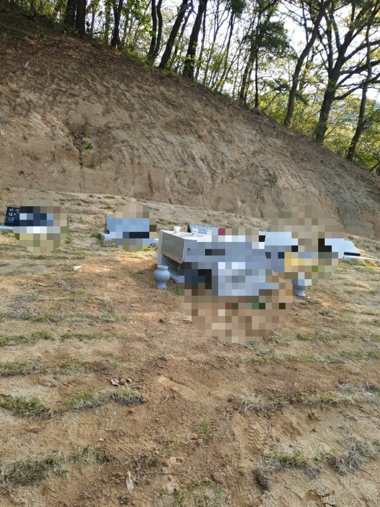 2021년 경북 김천시 남면 초곡리 상석(좌판)과 돌화병 잔디 작업 #경북장의사 #좌판 #상석 #잔디 #석물 #상석 #좌판 #잔디작업 #돌화병 고인돌장묘개발장의사