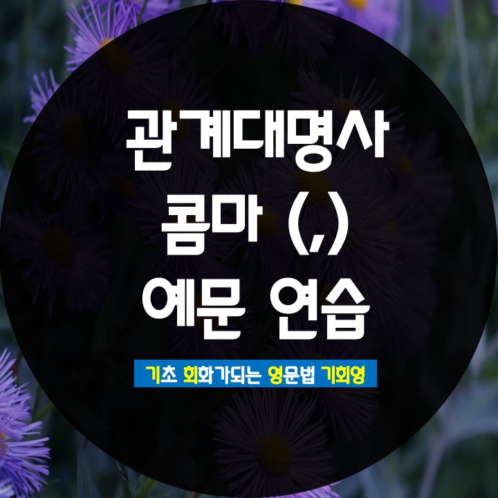  관계대명사 which who 콤마 , 복습 - 기회영