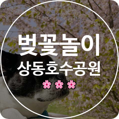  부천 상동호수공원 벚꽃놀이. 사람반 꽃반!
