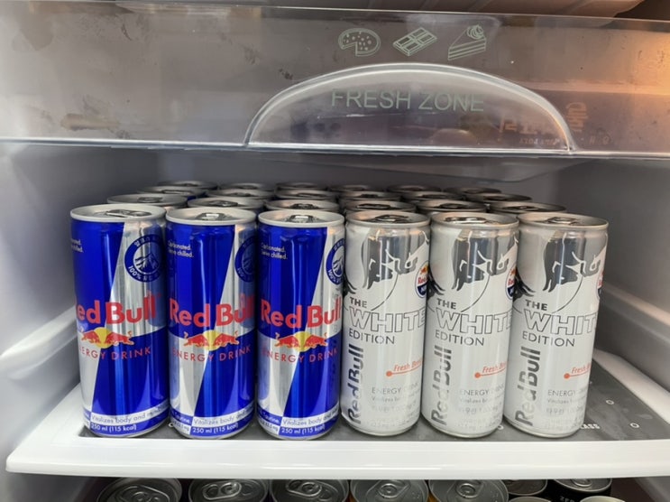  레드불 신제품 , 레드불 화이트에디션 피치맛 존맛탱