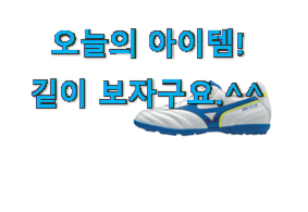 명품 미즈노 풋살화 상품 추천이라구요 명품 미즈노 풋살화 상품 추천이라구요