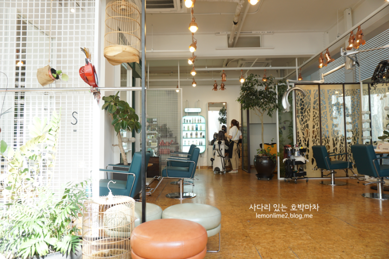 로데오미용실 이미지