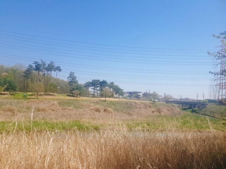  [영국 워홀 D-7] 출국 전 체크리스트 - 안과진료/인공눈물/안경알맞추기/상비약구매/핸드폰노트북점검/글로벌멀티카드재발급