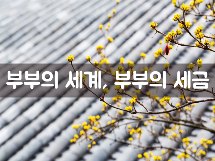  부부의 세계, 부부의 세금