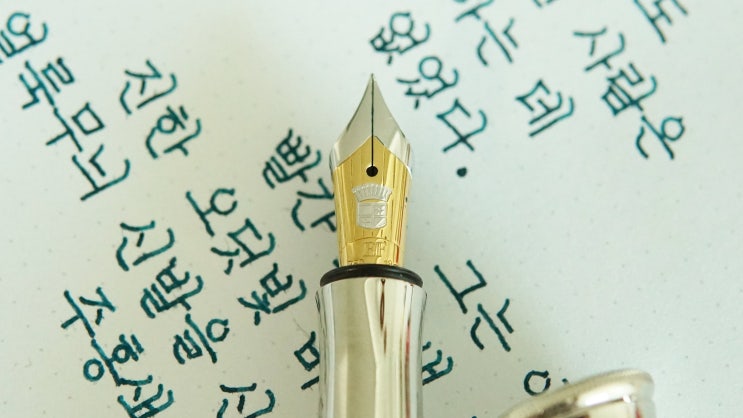  을 택하는데 두려움이 없는 사람 (그라폰 클래식 그레나딜라 EF닙)