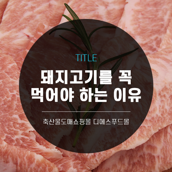 [디푸의 고기정보]돼지고기를 꼭 먹어야 하는 이유