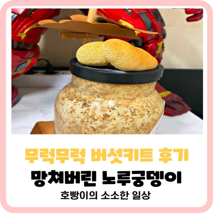  무럭무럭버섯키트한달리얼후기 :노루궁뎅이버섯키우기한달실패결과