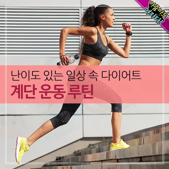  일송 속 다이어트ㆍ계단운동 루틴