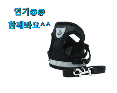  아이디어 넘치는 고양이 하네스 선택 강추!