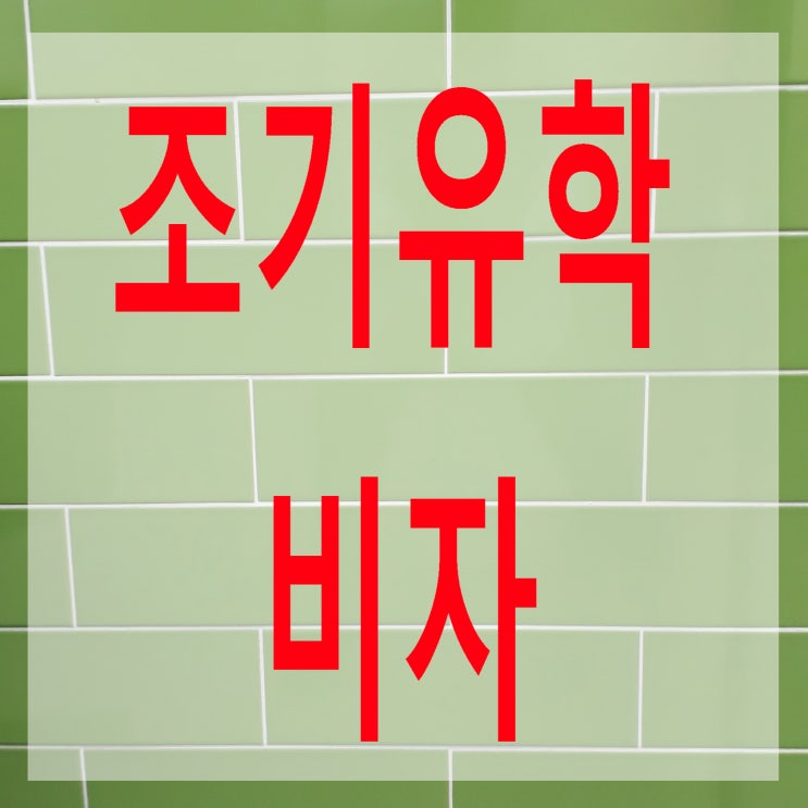  외국 초.중.고 학생들의 국내 조기유학 비자(D-4-3)와 동반 부모 비자(F-1-13)