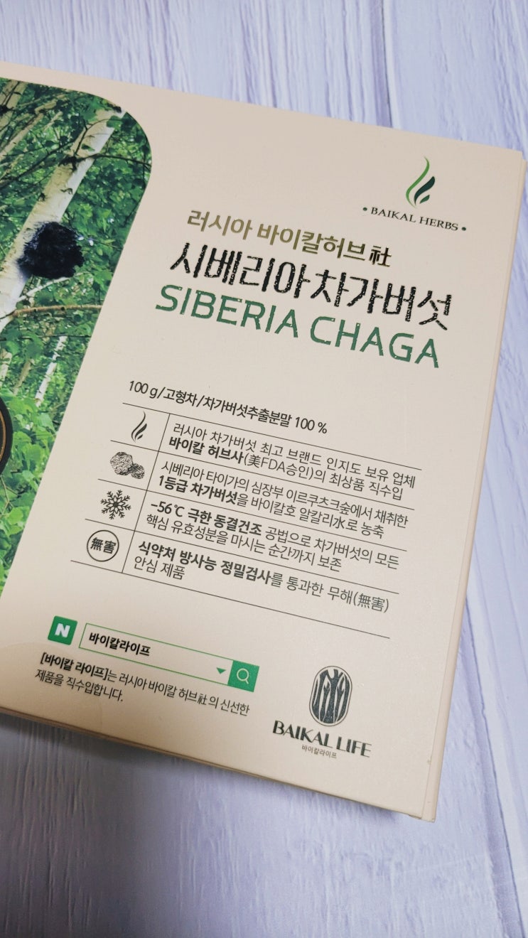  차가버섯효능 :: 바이칼라이프 러시아 차가버섯 추출분말 섭취후기