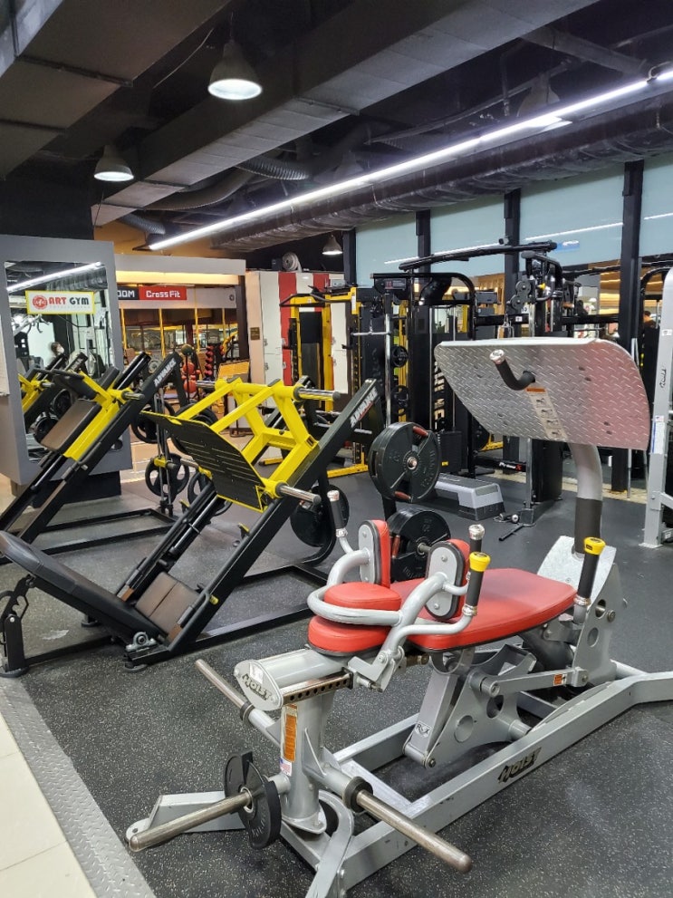  논현동 헬스장 기구맛집"아트짐 논현점" (2편)(웨이트존)