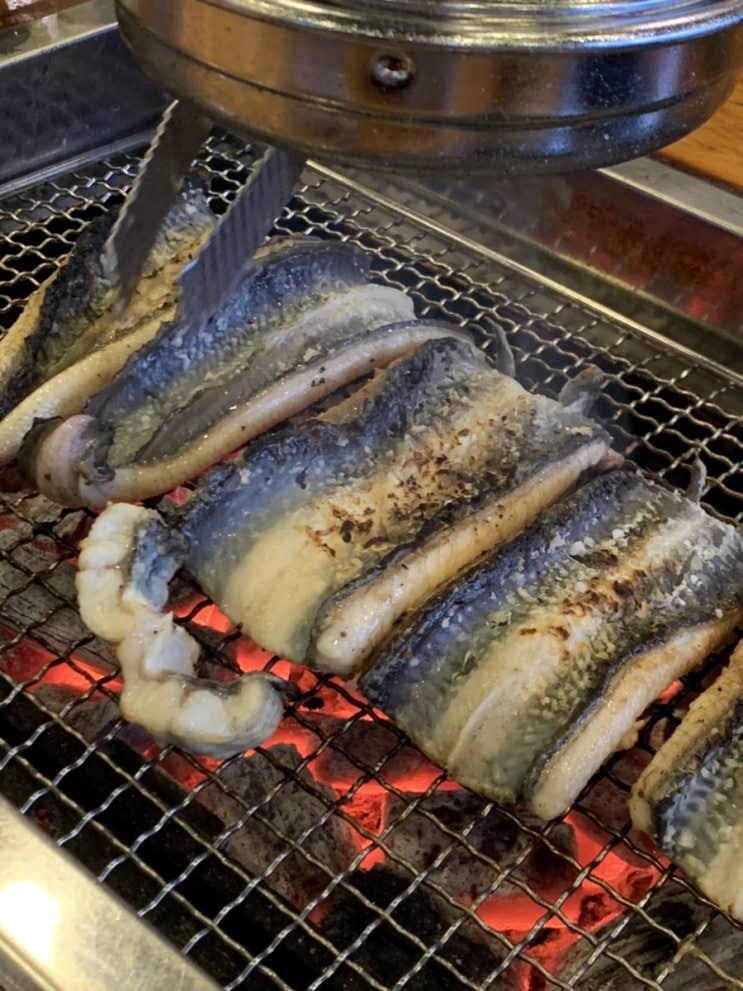  [과천] 주말 드라이브하고 몸보신 하기 좋은 갓성비!!!! 장어 맛집 #천장어