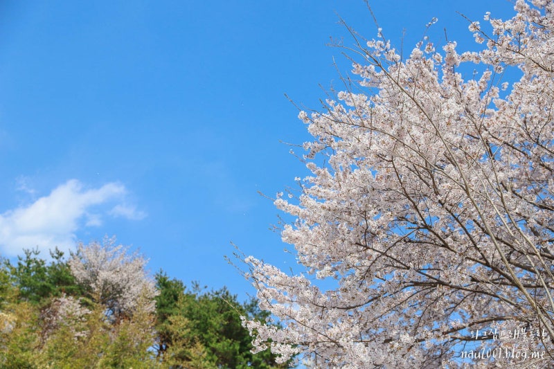 사진 4