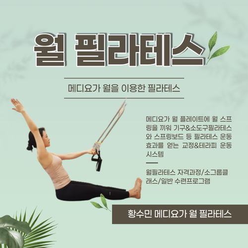  【월필라테스】 메디요가 월을 활용한 기구&소도구 필라테스 운동 효과 시스템_황수민 메디요가 월 필라테스