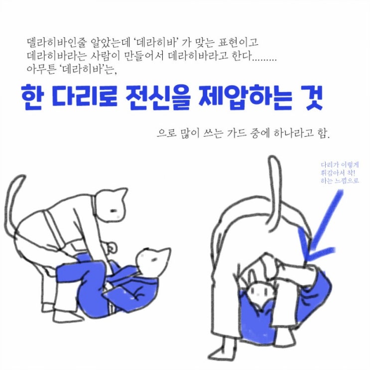  주짓수 3주하고 사흘째