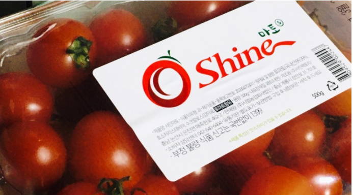  너무나 달콤하고 맛있는 스테비아 토마토, 스테비아 토마토란? 