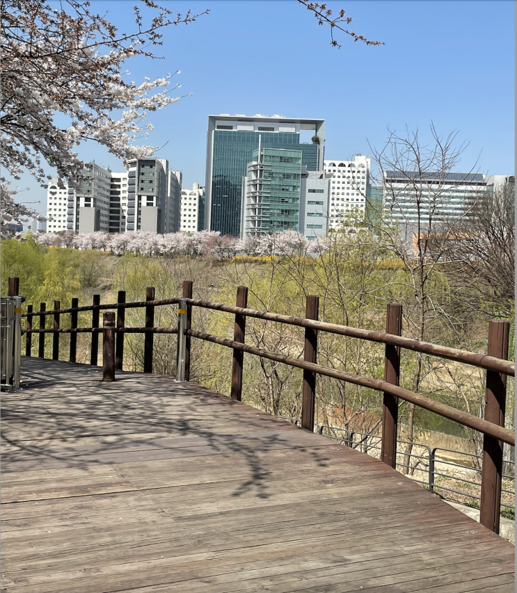  항상 후회는 남는법..