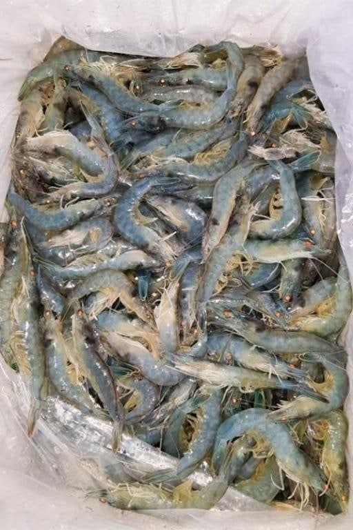 라온뜨락펜션 사진 1