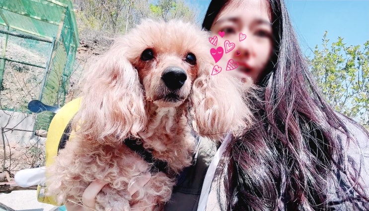  [영어감사일기] 배부르게 먹고 재미있게 논 날 (템플릿 포함)