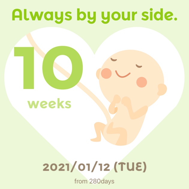 [임신 10주 ~ 11주] 임산부 친환경꾸러미 신청, 태아보험 가입 (현대해상), 엽산, 입덧 (체덧) 증상