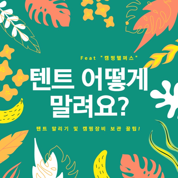  텐트말리기 캠핑헬퍼스에서 장비보관과 관리까지!