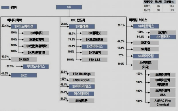 SK텔레콤 지배구조 개편 중간 지주회사 SK텔레콤 지배구조 개편 중간 지주회사