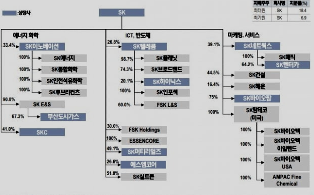 SK텔레콤 지배구조 개편 중간 지주회사