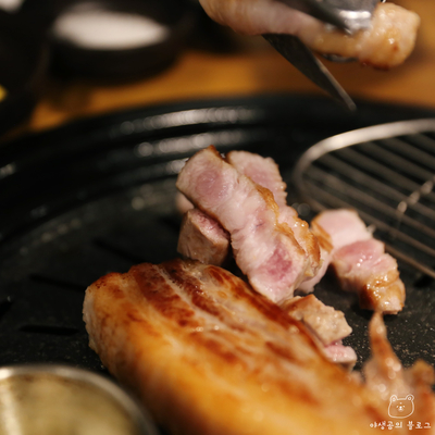  남영동 맛집 숙대입구 앞에 이런 곳이 있었네