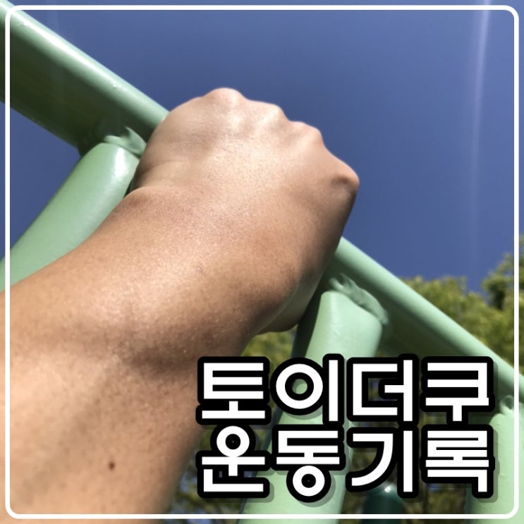 토이콜렉터 손대니의 운동기록(턱걸이,스쿼트,팔굽혀펴기) - 210414 토이콜렉터 손대니의 운동기록(턱걸이,스쿼트,팔굽혀펴기) - 210414