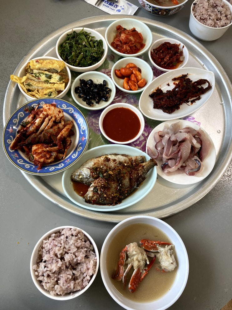  고성 한달살기) "DAY-9" 해맞이공원 / 수양식당 / 고성군청 / 고성공룡나라휴게소 (고성 베스트 맛집임. 꼭 가야됨!!!!)