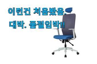 후기를 보니 더 맘에 들어요 너무 사고싶은 듀오백 의자 구매 알려드립니다~ 와이프가 인정하네요 후기를 보니 더 맘에 들어요 너무 사고싶은 듀오백 의자 구매 알려드립니다~ 와이프가 인정하네요
