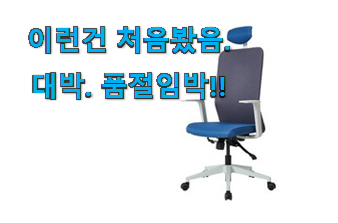 후기를 보니 더 맘에 들어요 너무 사고싶은 듀오백 의자 구매 알려드립니다~ 와이프가 인정하네요