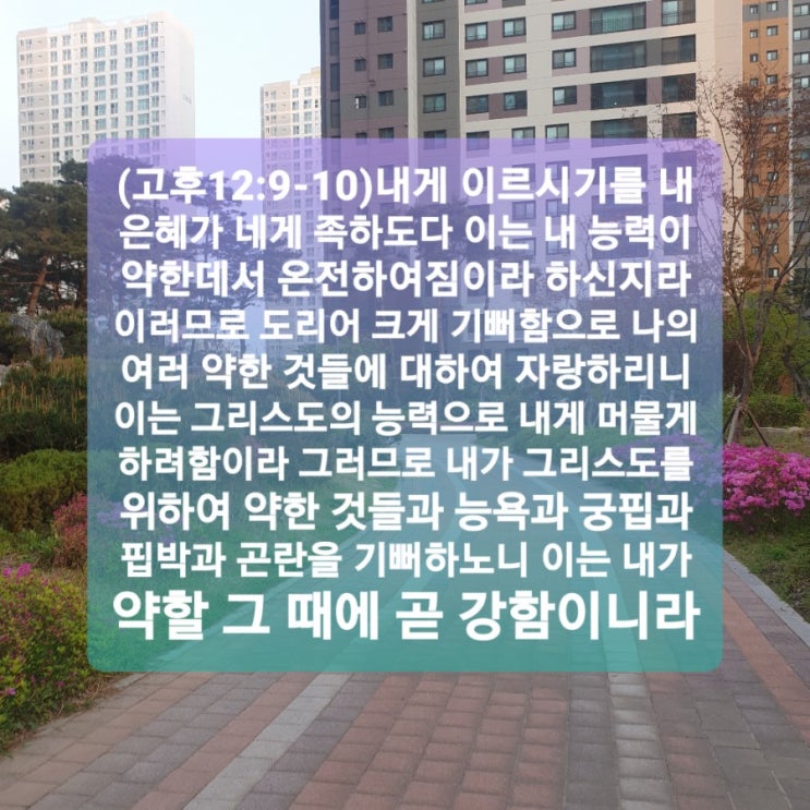  내가 약할 그 땨에 강함이라