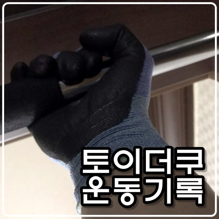 토이콜렉터 손대니의 운동기록(턱걸이,스쿼트,팔굽혀펴기) - 210415 토이콜렉터 손대니의 운동기록(턱걸이,스쿼트,팔굽혀펴기) - 210415