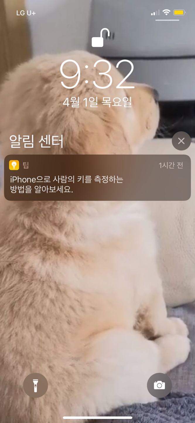 새 폰과 함께한 2주! (사진 60장 주의)