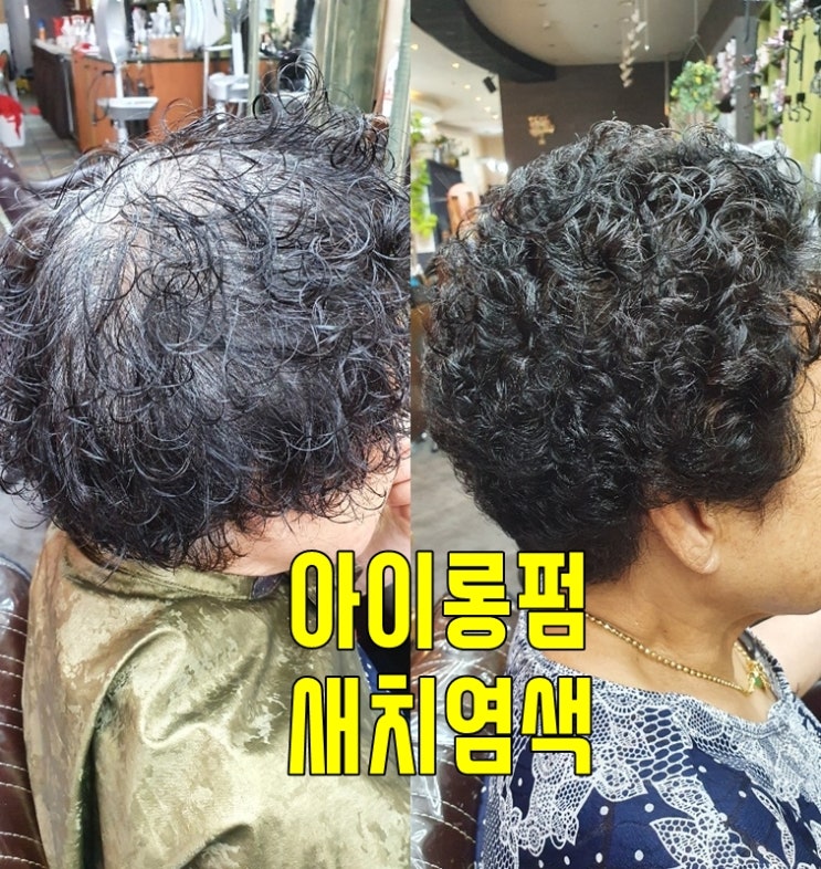  새치염색 주기 vs 일반염색 차이, 전주 마벨에서 알려드려요.