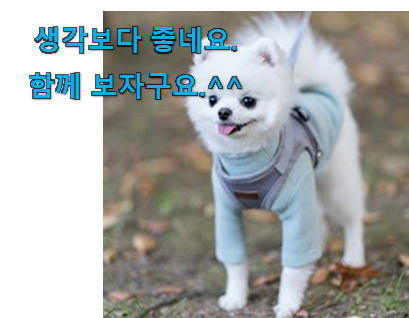 가성비좋은 강아지 하네스 굉장한 물건 추천하고픈 맘이에요. 가성비좋은 강아지 하네스 굉장한 물건 추천하고픈 맘이에요.
